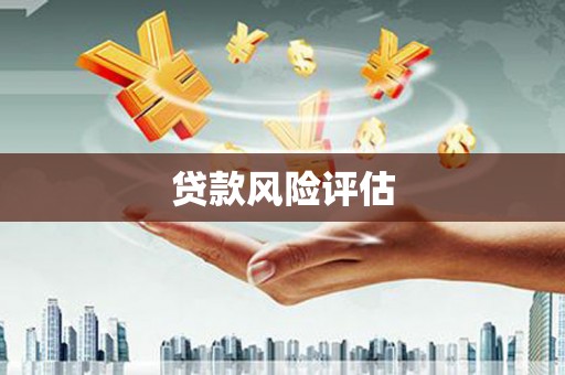 圣方济各堂区贷款风险评估
