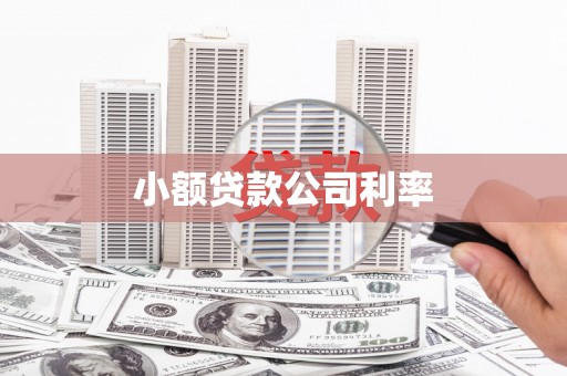 圣方济各堂区小额贷款公司利率