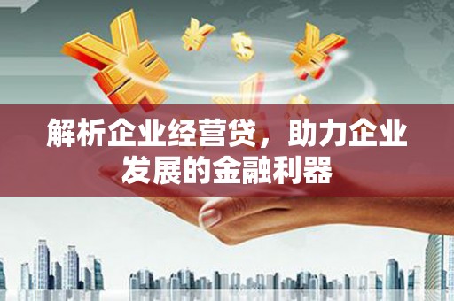 圣方济各堂区解析企业经营贷，助力企业发展的金融利器