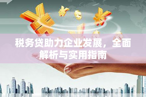 圣方济各堂区税务贷助力企业发展，全面解析与实用指南