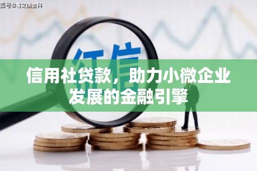 圣方济各堂区信用社贷款，助力小微企业发展的金融引擎