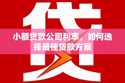 圣方济各堂区小额贷款公司利率，如何选择最佳贷款方案