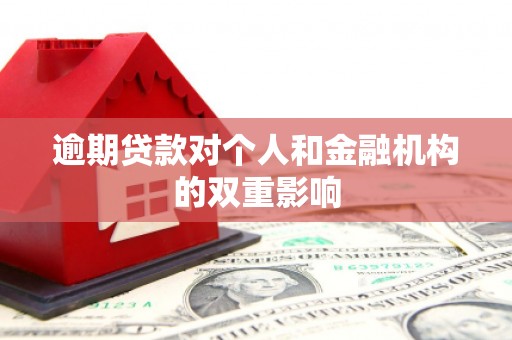 圣方济各堂区逾期贷款对个人和金融机构的双重影响