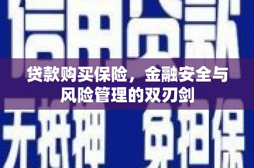 圣方济各堂区贷款购买保险，金融安全与风险管理的双刃剑