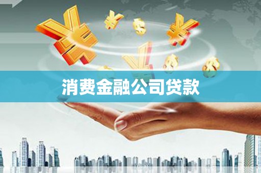 圣方济各堂区消费金融公司贷款