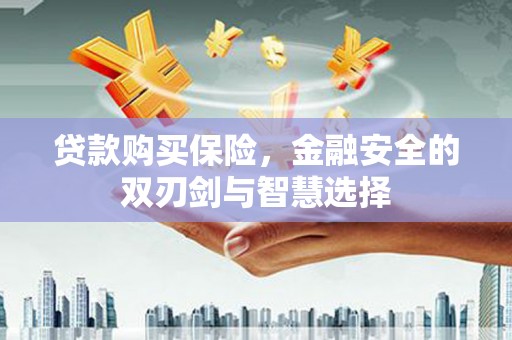 圣方济各堂区贷款购买保险，金融安全的双刃剑与智慧选择