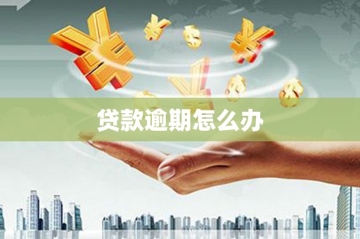 圣方济各堂区贷款逾期怎么办