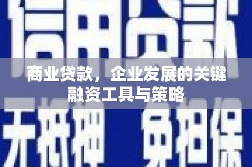 圣方济各堂区商业贷款，企业发展的关键融资工具与策略