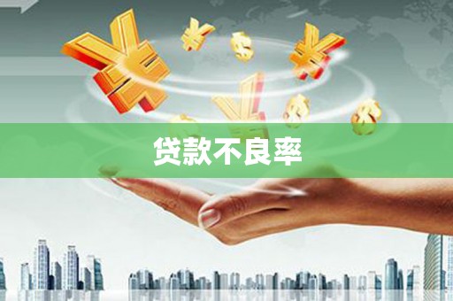 圣方济各堂区贷款不良率