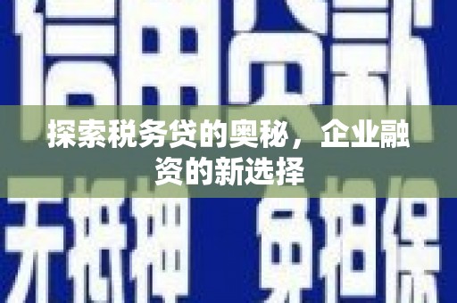 圣方济各堂区探索税务贷的奥秘，企业融资的新选择