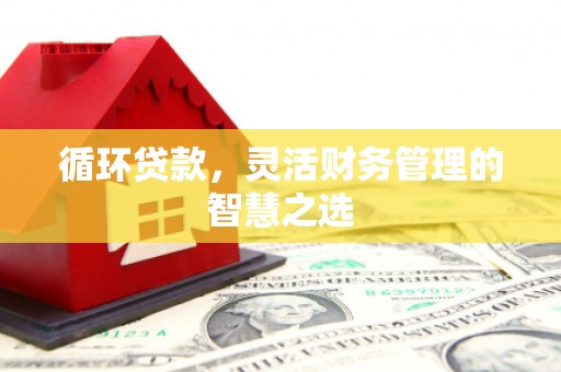 圣方济各堂区循环贷款，灵活财务管理的智慧之选