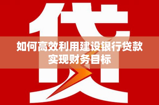 圣方济各堂区如何高效利用建设银行贷款实现财务目标