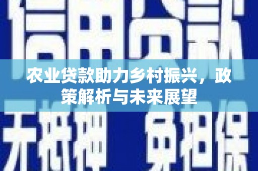 圣方济各堂区农业贷款助力乡村振兴，政策解析与未来展望