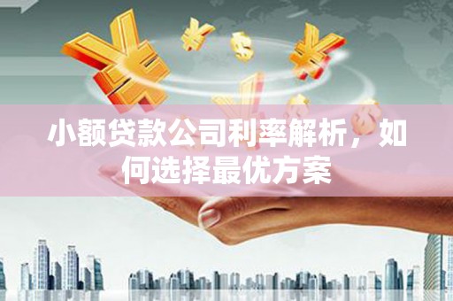 圣方济各堂区小额贷款公司利率解析，如何选择最优方案