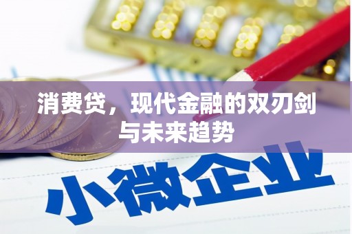 圣方济各堂区消费贷，现代金融的双刃剑与未来趋势