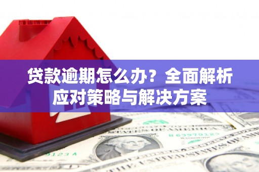 圣方济各堂区贷款逾期怎么办？全面解析应对策略与解决方案