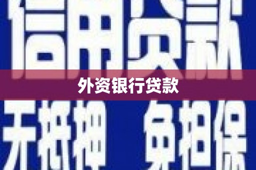 圣方济各堂区外资银行贷款