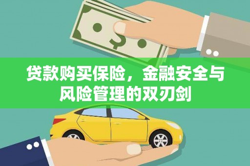 圣方济各堂区贷款购买保险，金融安全与风险管理的双刃剑