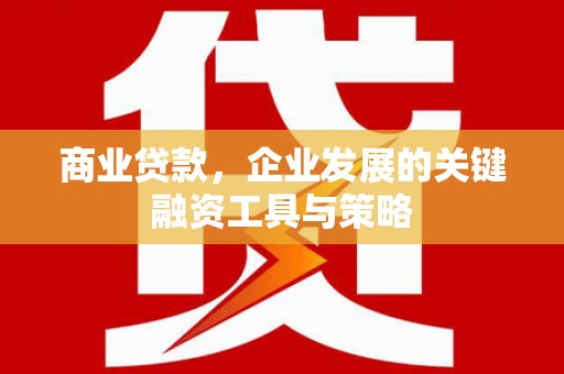 圣方济各堂区商业贷款，企业发展的关键融资工具与策略