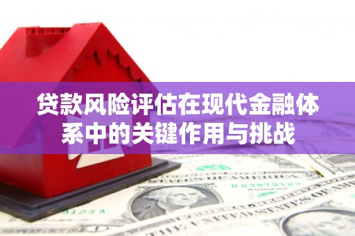 圣方济各堂区贷款风险评估在现代金融体系中的关键作用与挑战
