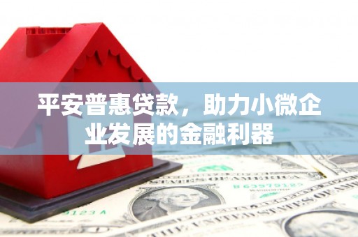 圣方济各堂区平安普惠贷款，助力小微企业发展的金融利器