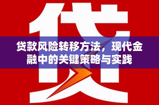 圣方济各堂区贷款风险转移方法，现代金融中的关键策略与实践