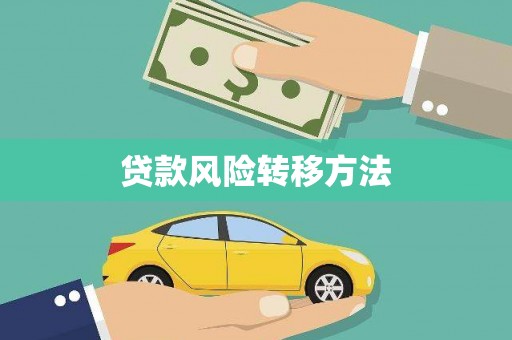 圣方济各堂区贷款风险转移方法