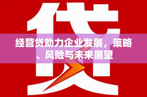 圣方济各堂区经营贷助力企业发展，策略、风险与未来展望