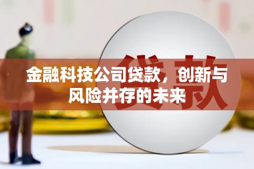 圣方济各堂区金融科技公司贷款，创新与风险并存的未来
