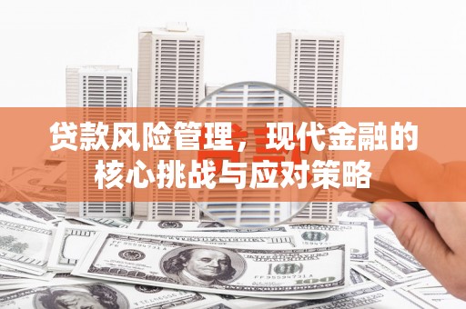 圣方济各堂区贷款风险管理，现代金融的核心挑战与应对策略