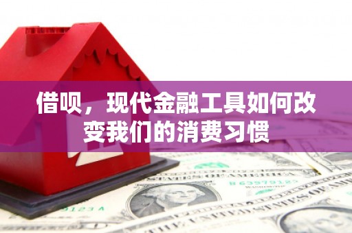 圣方济各堂区借呗，现代金融工具如何改变我们的消费习惯