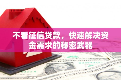 圣方济各堂区不看征信贷款，快速解决资金需求的秘密武器