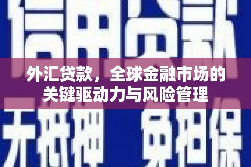 圣方济各堂区外汇贷款，全球金融市场的关键驱动力与风险管理