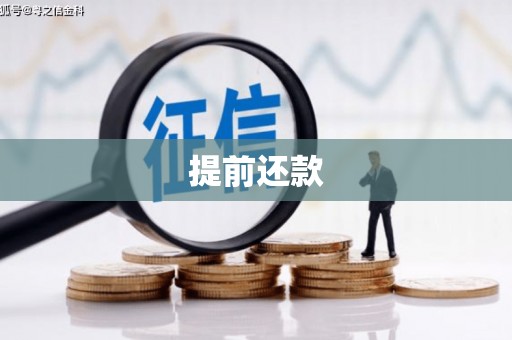 圣方济各堂区提前还款