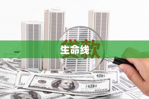 圣方济各堂区生命线
