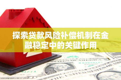 圣方济各堂区探索贷款风险补偿机制在金融稳定中的关键作用