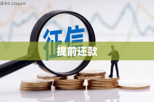 圣方济各堂区提前还款