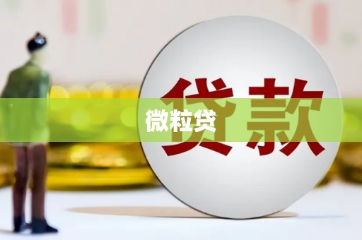 圣方济各堂区微粒贷