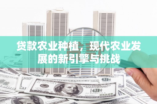 圣方济各堂区贷款农业种植，现代农业发展的新引擎与挑战
