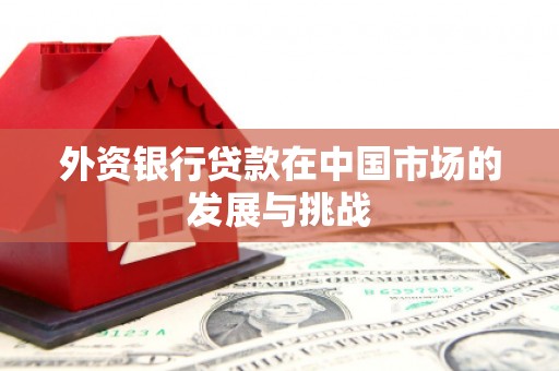 圣方济各堂区外资银行贷款在中国市场的发展与挑战