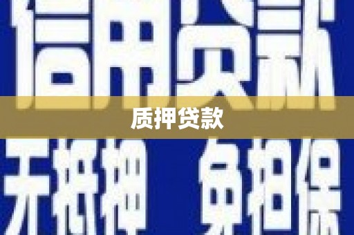 圣方济各堂区质押贷款