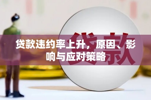 圣方济各堂区贷款违约率上升，原因、影响与应对策略