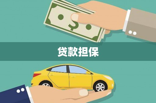 圣方济各堂区贷款担保