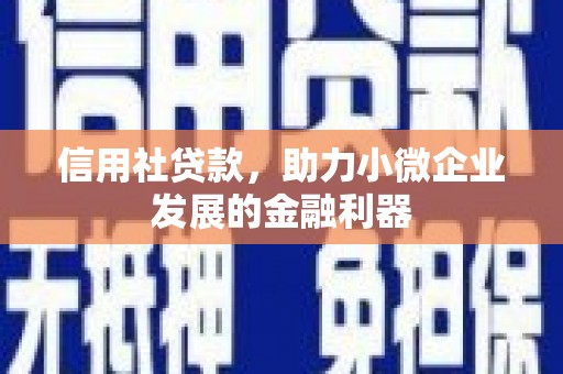 圣方济各堂区信用社贷款，助力小微企业发展的金融利器