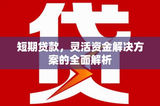 圣方济各堂区短期贷款，灵活资金解决方案的全面解析