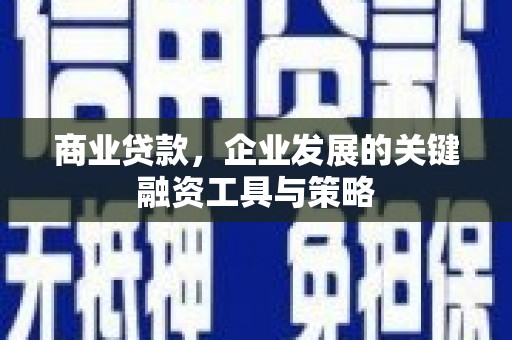 圣方济各堂区商业贷款，企业发展的关键融资工具与策略