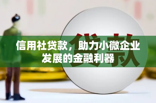 圣方济各堂区信用社贷款，助力小微企业发展的金融利器