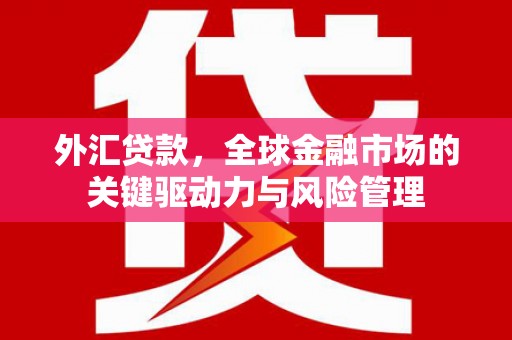 圣方济各堂区外汇贷款，全球金融市场的关键驱动力与风险管理