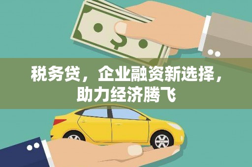 圣方济各堂区税务贷，企业融资新选择，助力经济腾飞