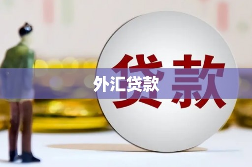 圣方济各堂区外汇贷款